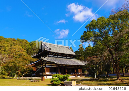 Negoro-ji Temple Autumn scenery 91648326