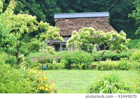 岐阜Seiryu Satoyama公園 91649870