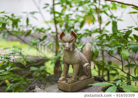 Koishikawa Korakuen 2022 Summer Inari Shrine Fox 2 Koishikawa Korakuen 2022 Summer Inari Shrine Fox 2 91650309