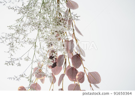 Dried flower material on a white background Dried flower material on a white background 91650364