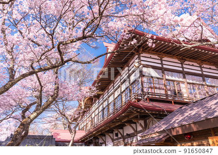 《長野縣》櫻花盛開，春天的高遠城跡公園 91650847