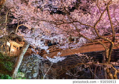 《Nagano Prefecture》 Cherry blossoms in full bloom, Takato Castle Ruins Park in spring 91650913