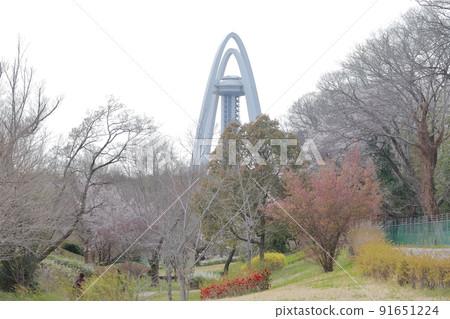 Twin Towers during the spring cherry blossom season (Twin Arch 138, Ichinomiya, Aichi Prefecture) Twin Towers during the spring cherry blossom season (Twin Arch 138, Ichinomiya, Aichi Prefecture) 91651224