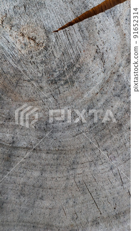 Background from cross section of tree trunk. Abstract texture from the rings of old weathered wood with a crack. 16x9 Background from cross section of tree trunk. Abstract texture from the rings of old weathered wood with a crack. 16x9 91652314
