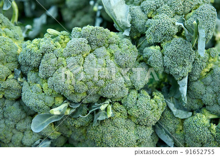 Broccoli in a pile on a market Broccoli in a pile on a market 91652755