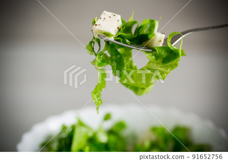 fresh green lettuce salad with mozzarella and herbs on a fork fresh green lettuce salad with mozzarella and herbs on a fork 91652756