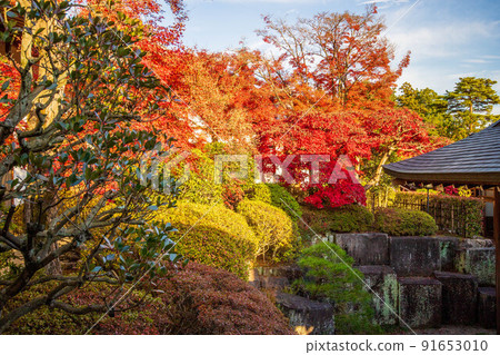 埼玉飯能的秋天,秋天顏色的野神寺 埼玉飯能的秋天,秋天顏色的野神寺 91653010