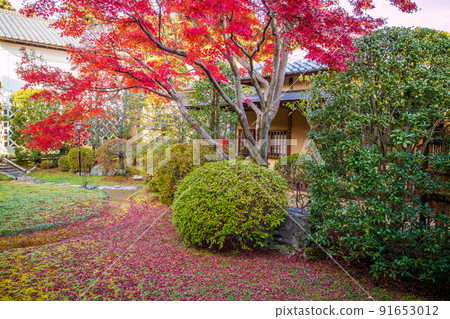埼玉飯能的秋天，秋天顏色的野神寺 91653012