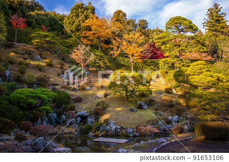 秋天的埼玉飯能，彩葉的諾蓮寺花園 91653106