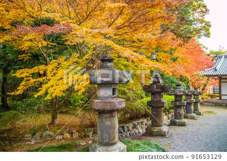 埼玉飯能之秋,入野金寺的石燈籠,秋色 埼玉飯能之秋,入野金寺的石燈籠,秋色 91653129
