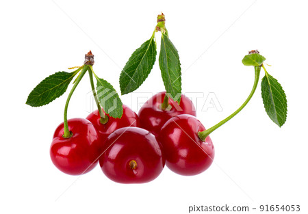 Cherry isolated on white background. Red ripe berry of sweet cherry. Clipping path. Cherry isolated on white background. Red ripe berry of sweet cherry. Clipping path. 91654053