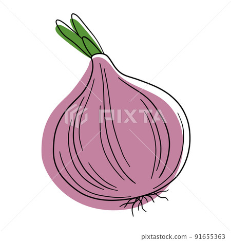 The red onion logo. Onions and green onions. Isolated onion on a white background 91655363