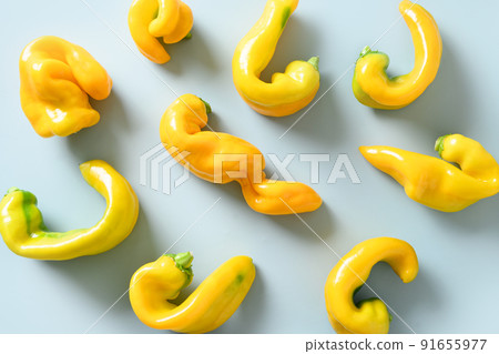Abnormal ugly organic yellow pepper on blue . View from above. Abnormal ugly organic yellow pepper on blue . View from above. 91655977