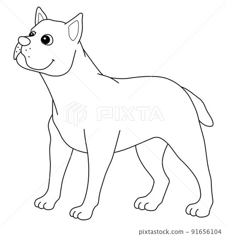 Cane Corso Dog Isolated Coloring Page for Kids Cane Corso Dog Isolated Coloring Page for Kids 91656104