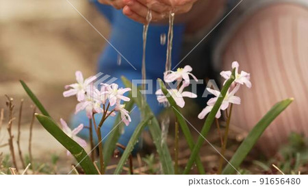 a little girl watering flowers from the palms of her hands. a little girl watering flowers from the palms of her hands. 91656480