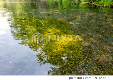 Kushiro River headwaters for canoeing in early summer 91656590