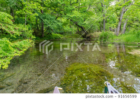 Kushiro River headwaters for canoeing in early summer 91656599