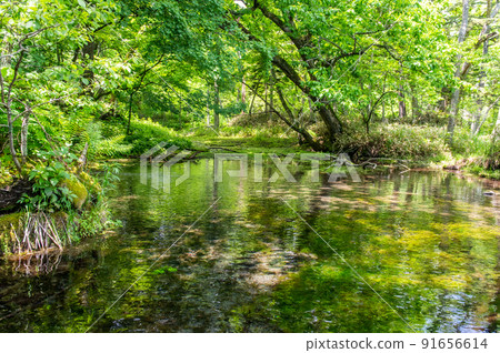 Kushiro River headwaters for canoeing in early summer 91656614