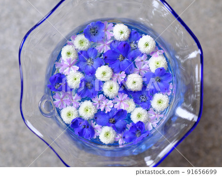 花水 花水 91656699