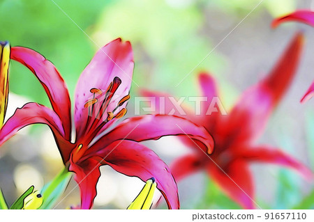 Pastel-like "flower in full bloom Himeyuri" illustration image Pastel-like "flower in full bloom Himeyuri" illustration image 91657110