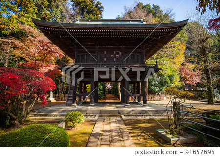 三好埼玉、田福寺、山門的秋葉 三好埼玉、田福寺、山門的秋葉 91657695