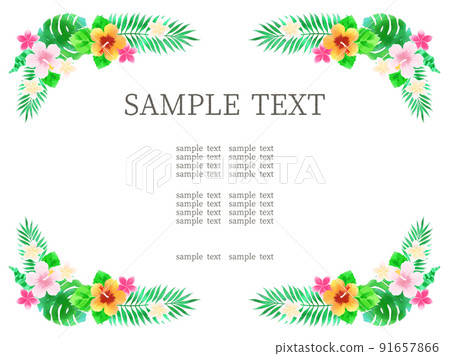 Frame of hibiscus and plumeria Frame of hibiscus and plumeria 91657866