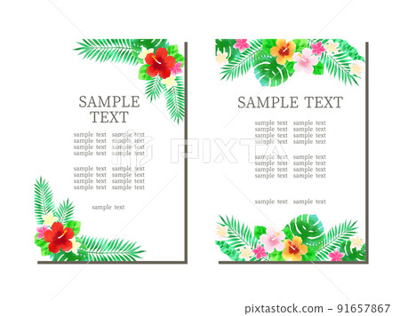 Frame of hibiscus and plumeria 91657867
