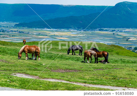 Mt. Aso, Aso City, Kumamoto Prefecture-Daikanbo- Mt. Aso, Aso City, Kumamoto Prefecture-Daikanbo- 91658080