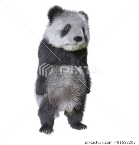 Panda cub 3d illustration isolated white background Panda cub 3d illustration isolated white background 91658202
