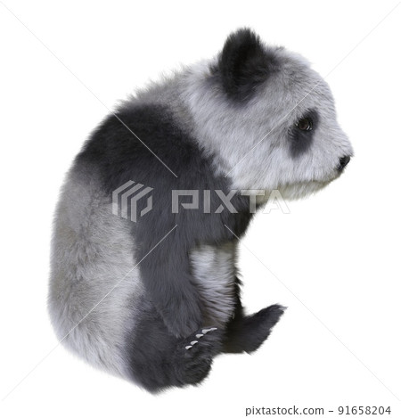 Panda cub 3d illustration isolated white background 91658204