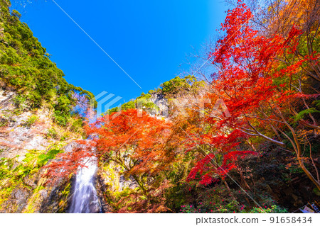 Mino Falls dyed in Kinshu 91658434