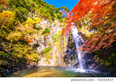 Mino Falls dyed in Kinshu Mino Falls dyed in Kinshu 91658437