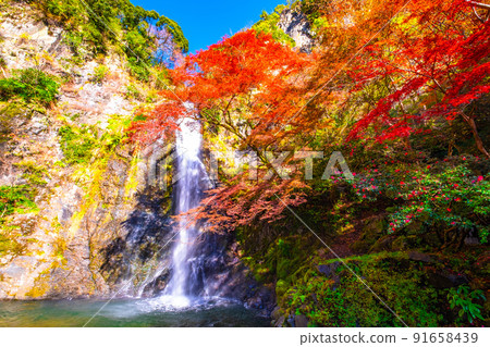 Mino Falls dyed in Kinshu Mino Falls dyed in Kinshu 91658439