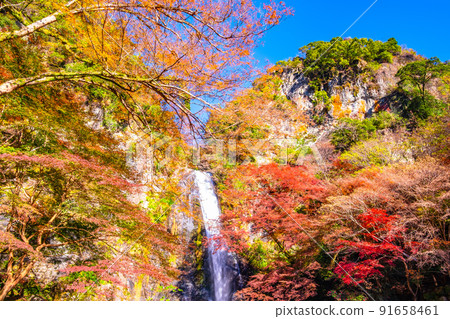 Mino Falls dyed in Kinshu 91658461