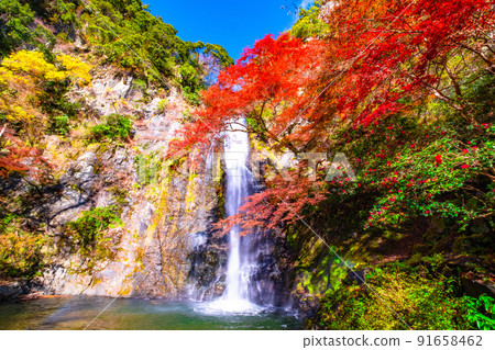 Mino Falls dyed in Kinshu 91658462