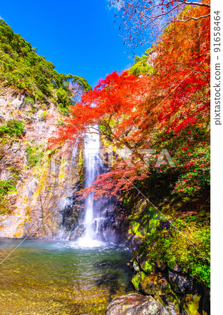 Mino Falls dyed in Kinshu 91658464