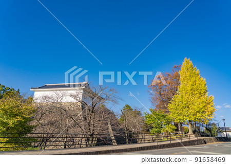 三重縣龜山市,老龜山城的塔門塔和秋天的黃葉銀杏 三重縣龜山市,老龜山城的塔門塔和秋天的黃葉銀杏 91658469