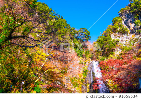 Mino Falls dyed in Kinshu 91658534