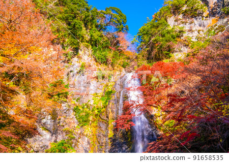 錦州染成的美濃瀑布 91658535