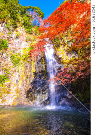 錦州染成的美濃瀑布 91658542