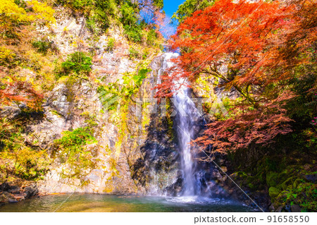 錦州染成的美濃瀑布 91658550