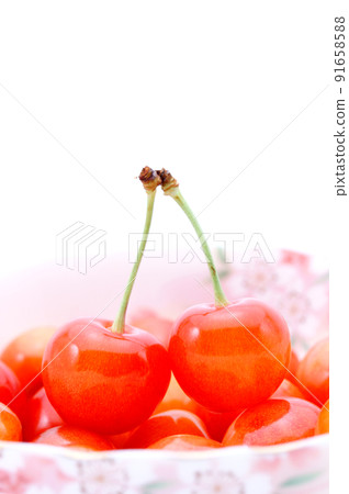 Cherry cherry 91658588