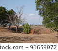 罐子平原（Laos Xieng Khouang） 91659072