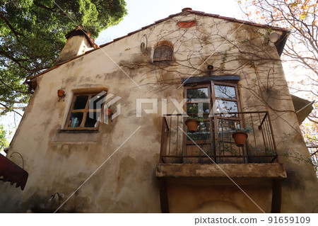 Warmth Forest Hamamatsu City, Shizuoka Prefecture 91659109