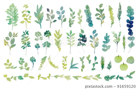 水彩。一組帶有水彩色彩的植被插圖。綠色植物的裝飾插圖。真正的觸摸植被矢量圖。 水彩。一組帶有水彩色彩的植被插圖。綠色植物的裝飾插圖。真正的觸摸植被矢量圖。 91659120