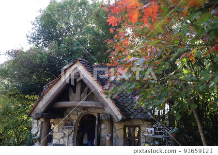 靜岡縣濱松市溫暖之森 靜岡縣濱松市溫暖之森 91659121