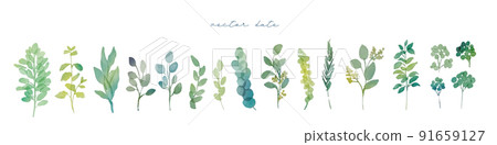 Watercolor. A set of vegetation illustrations with a watercolor touch. Decorative illustration of green plants. Real touch vegetation vector illustration. 91659127