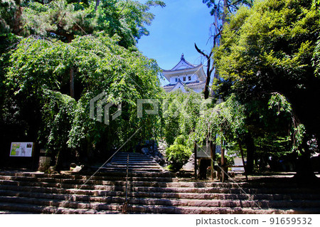 大垣城（岐阜縣大垣市） 91659532