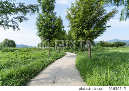 way way 91659545