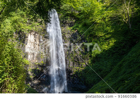 Tamadare Falls Tamadare Falls 91660386